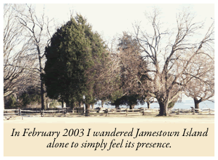 Large trees at Jamestown